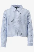 Indian Blue Blouse