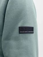Jack&Jones Hoodie FUSION