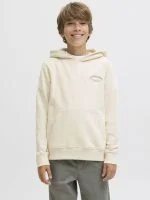 Jack&Jones Hoodie BRANDES