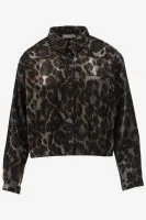 Geisha Blouse