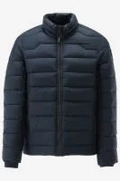 Vanguard Winterjas