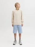 Jack&Jones Jeans Short ALEX