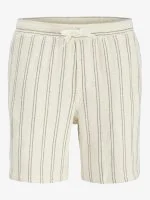 Jack&Jones Short JAIDEN COBA