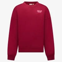 Cars Sweater SUZIE