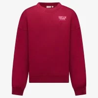 Cars Sweater SUZIE