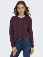 JDY Vest JDYCHLOE L/S CARDIGAN KNT NOOS