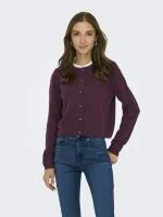 JDY Vest JDYCHLOE L/S CARDIGAN KNT NOOS