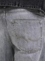 Jack&Jones Baggy ALEX CB299