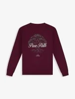 Pure Path Sweater