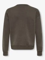 Only & Sons Hoodie LARRY