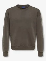 Only & Sons Hoodie LARRY