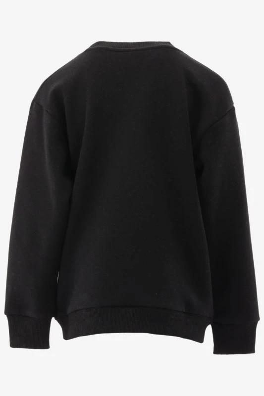 Cars Sweater EAMON - productfoto