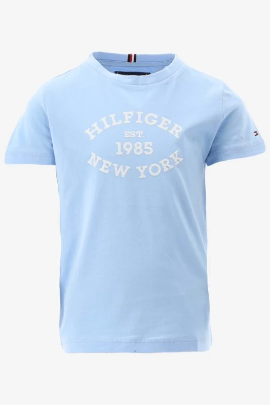 Tommy Hilfiger T-shirt - productfoto