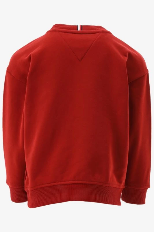 Tommy Hilfiger Sweater - productfoto