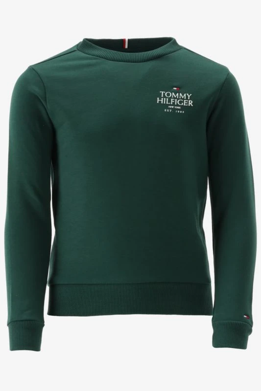 Tommy Hilfiger Sweater - productfoto