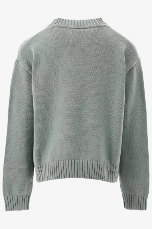 Calvin Klein Trui MONOLOGO SWEATER - productfoto