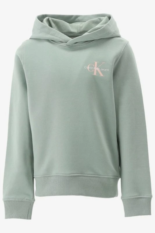 Calvin Klein Hoodie SMALL MONOGRAM HOODI