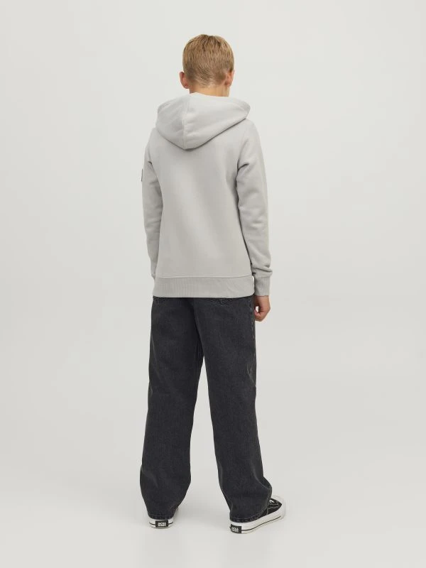 Jack&Jones Baggy ALEX