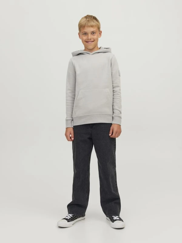 Jack&Jones Baggy ALEX