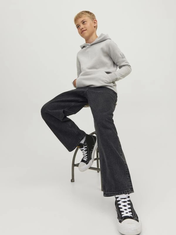 Jack&Jones Baggy ALEX