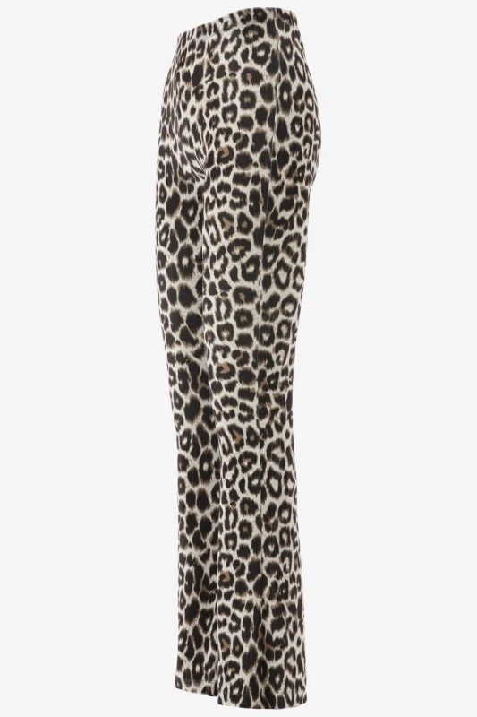 Catwalk Junkie Bootcut