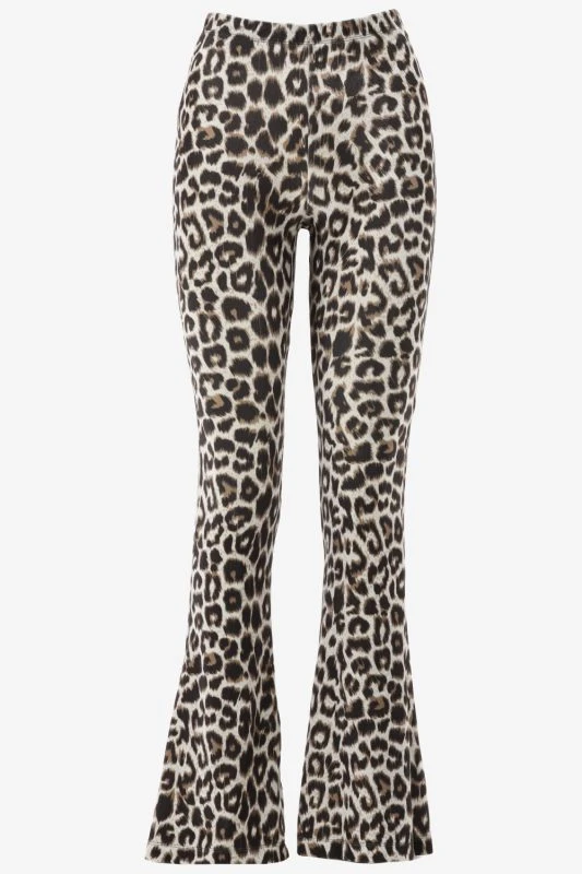 Catwalk Junkie Bootcut