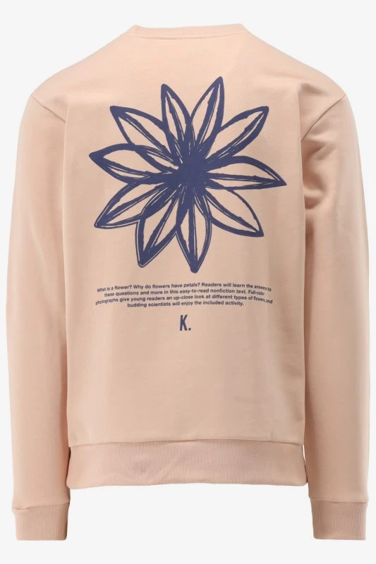 Kultivate Sweater SPRING FLOWER