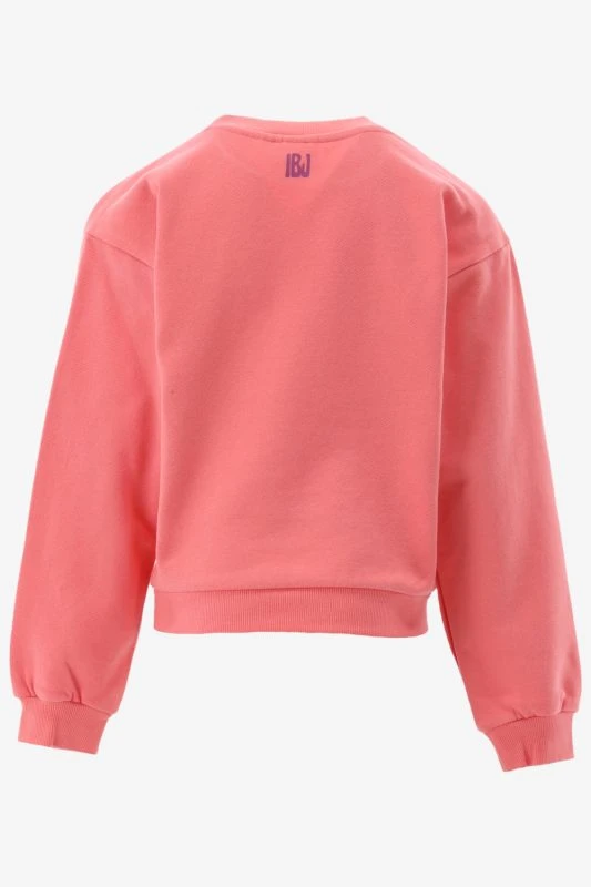 Indian Blue Sweater - productfoto