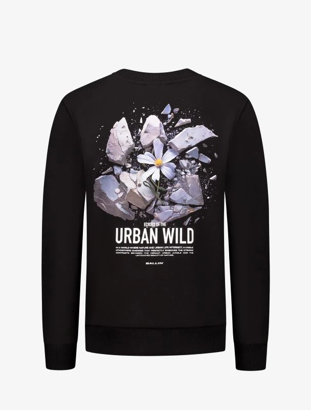 Ballin Sweater