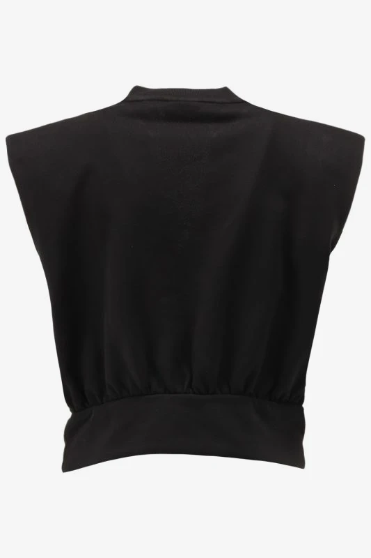 Another-Label Top INDRA