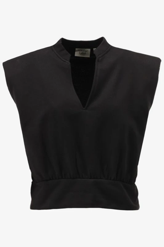 Another-Label Top INDRA