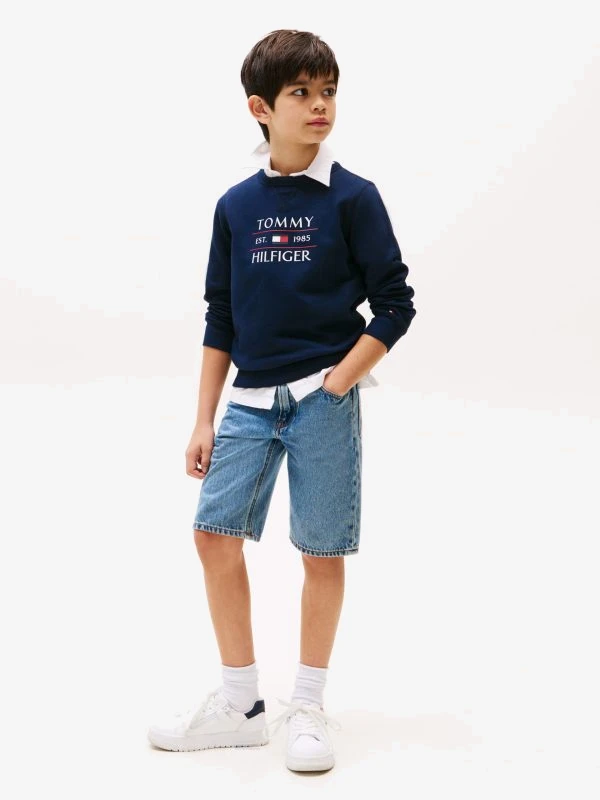 Tommy Hilfiger Sweater TOMMY