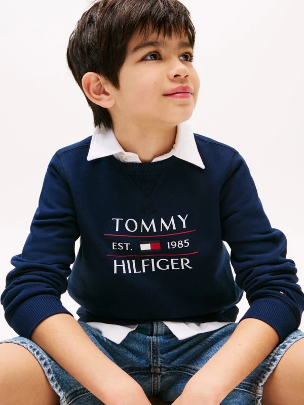 Tommy Hilfiger Sweater TOMMY