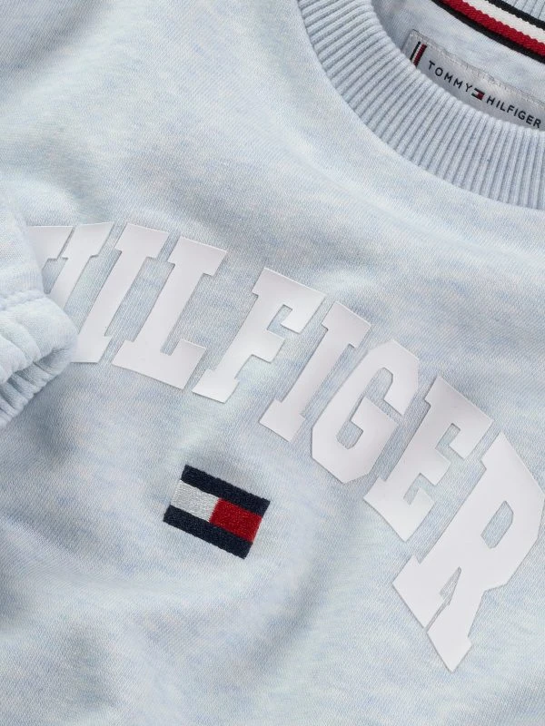 Tommy Hilfiger Sweater VARSITY