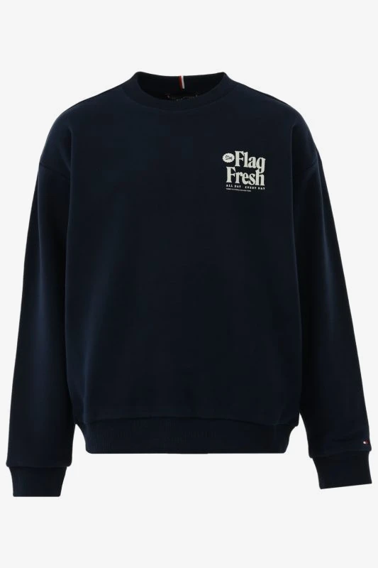 Tommy Hilfiger Sweater FUN