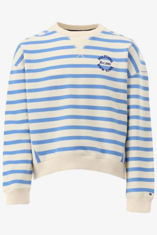 Tommy Hilfiger Sweater STRIPE