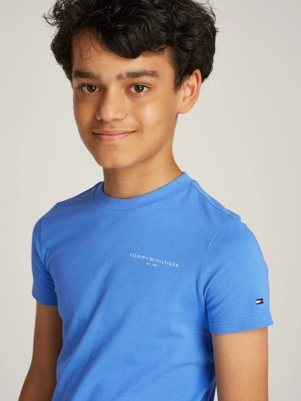 Tommy Hilfiger T-shirt U