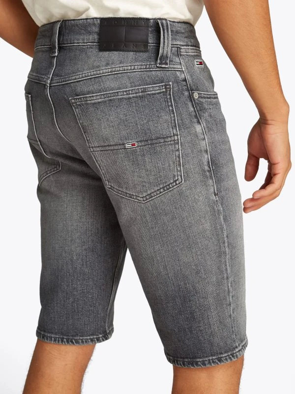 Tommy Hilfiger Short RONNIE