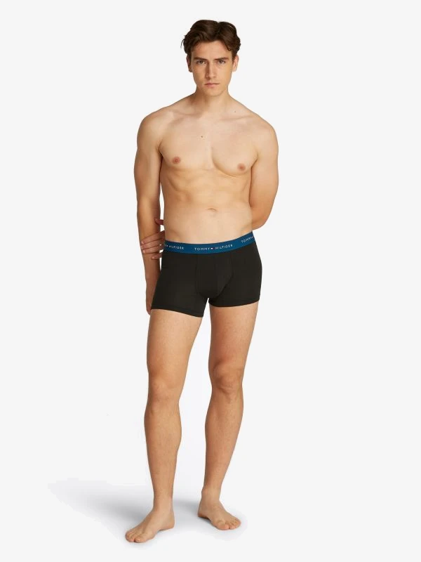 Tommy Hilfiger Underwear 3P