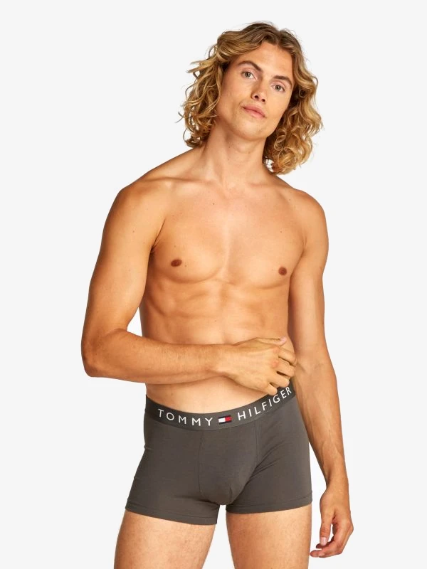 Tommy Hilfiger Underwear 3P