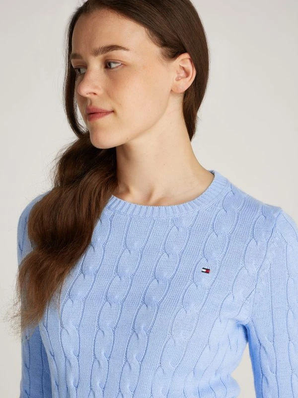 Tommy Hilfiger Trui CO