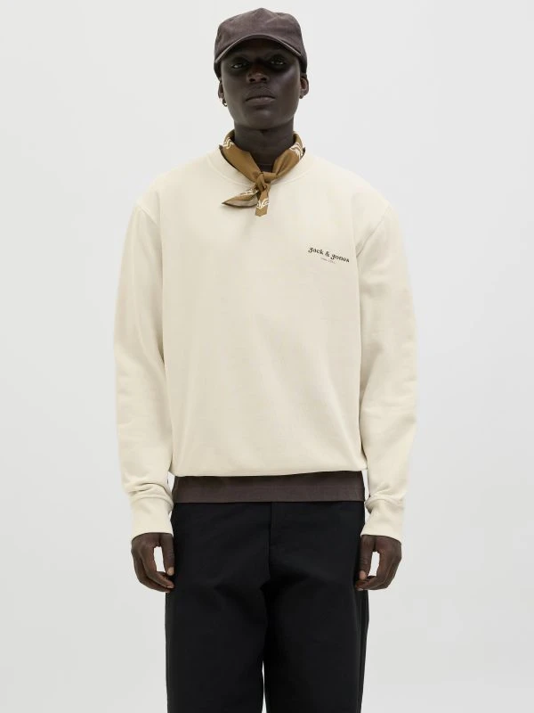 Jack&Jones Sweater DOVER - productfoto