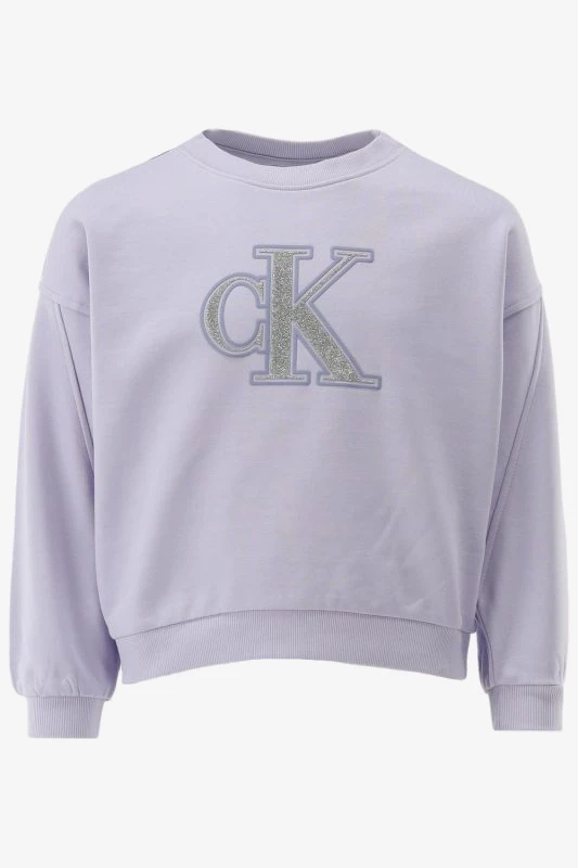 Calvin Klein Sweater METALLIC