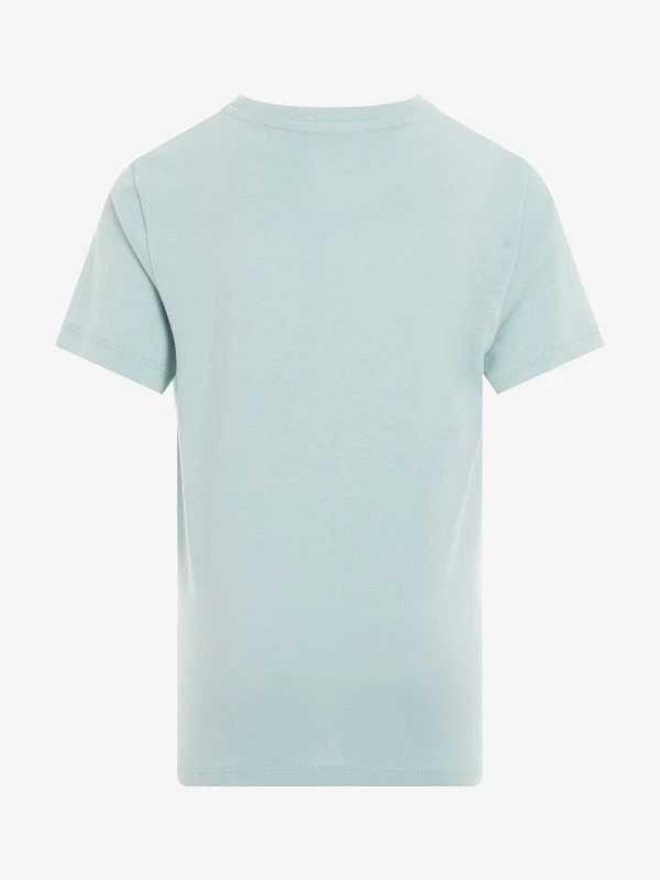 Calvin Klein T-shirt CHEST