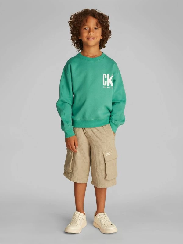 Calvin Klein Sweater SUMMER