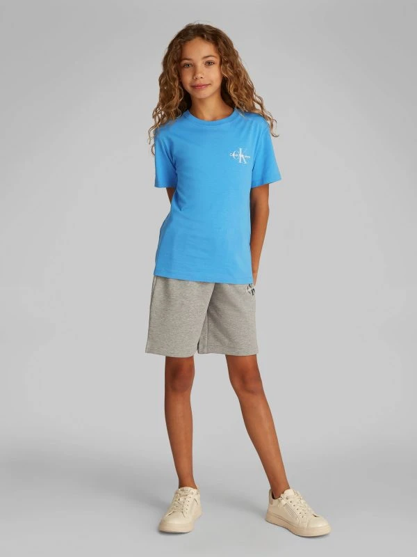 Calvin Klein T-shirt CHEST