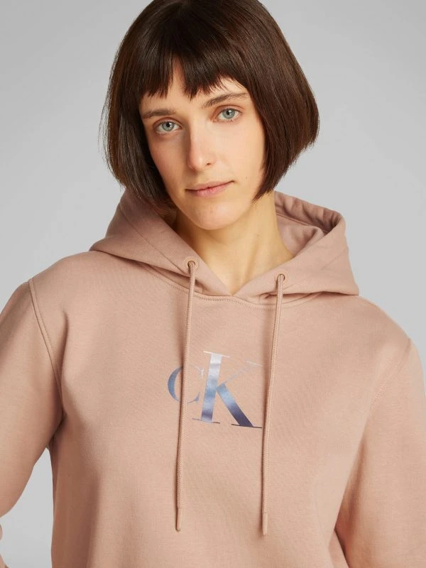 Calvin Klein Hoodie GRADIENT