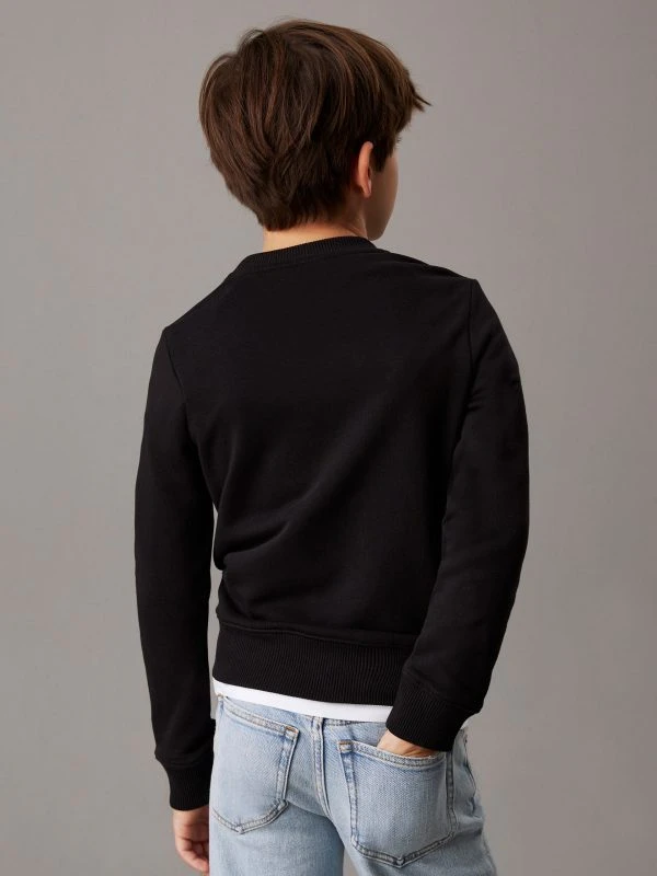 Calvin Klein Sweater MONO
