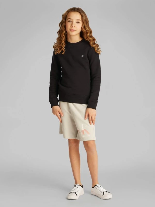 Calvin Klein Sweater MONO