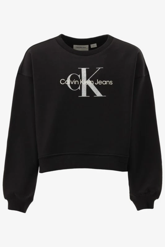 Calvin Klein Sweater GLITTER